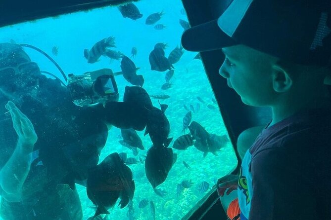 3 Hour Panorama by Semi Submarine Cruise w/ Transfer in Hurghada - On Board With OMARIKA TOURS: What the Crew Focuses On