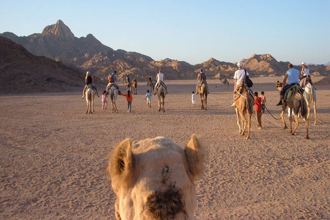 3-hour quad bike tour in Hurghada desert - Guides and group energy: when friendly staff matters