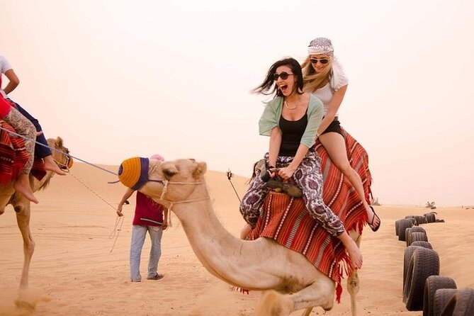 3-Hour Quad Ride with Camel Ride - Key Highlights You’ll Actually Care About