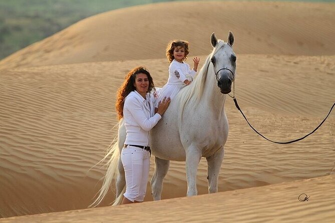 3-Hour Quad Ride with Camel Ride - Bedouin Village Tea Stop and Camel Ride Break