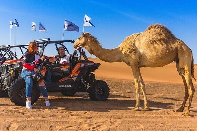3-Hour Quad Ride with Camel Ride - The Guide, the Group Size, and a Note on Service