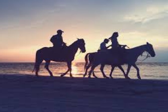 3-Hour Swim with Horses and Romantic Dinner from Hurghada hotels - Key Highlights Worth Knowing