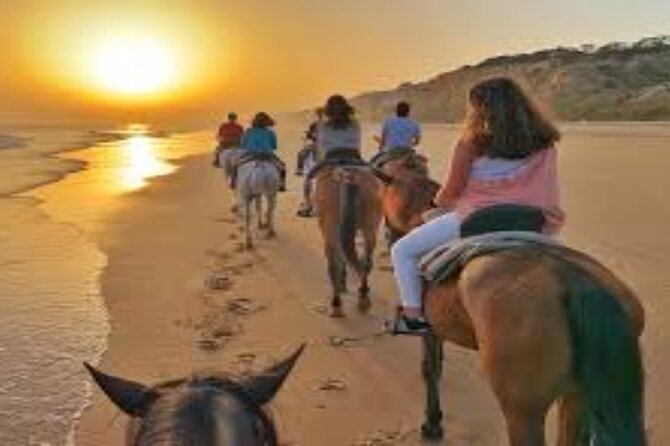 3-Hour Swim with Horses and Romantic Dinner from Hurghada hotels - How the Desert Ride Works (and Why the Guide Matters)