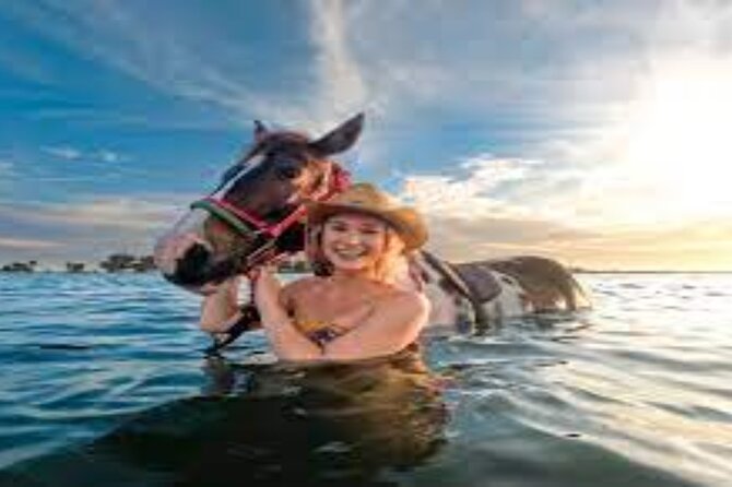 3-Hour Swim with Horses and Romantic Dinner from Hurghada hotels - Romantic Dinner and Homemade Food: The Payoff After the Ride