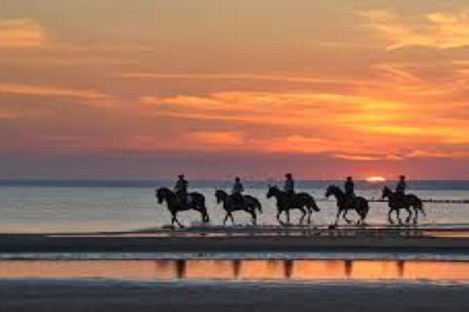 3-Hour Swim with Horses and Romantic Dinner from Hurghada hotels - Who Should Book This Horse-and-Dinner Experience