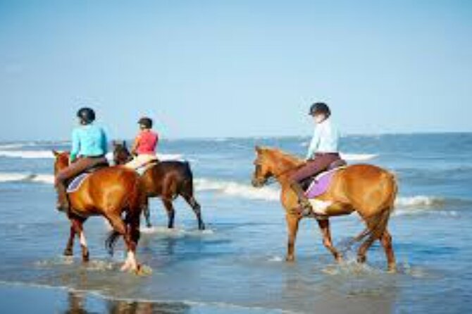 3-Hour Swim with Horses and Romantic Dinner from Hurghada hotels - Riding into the Water: Beach and Sea Time in Hurghada
