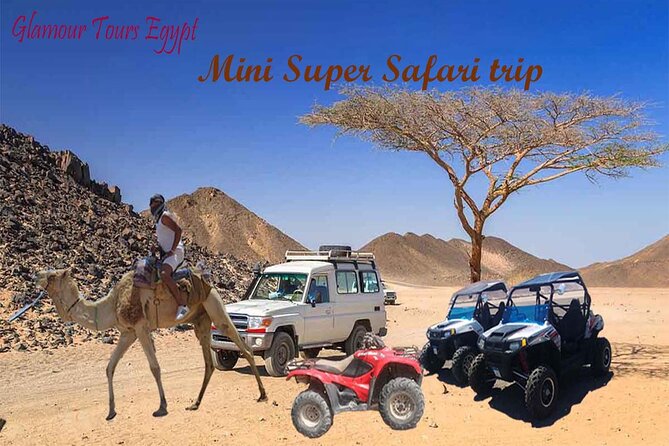 3 hours Mini Super Safari (Family Safari) - Key Highlights You’ll Actually Feel