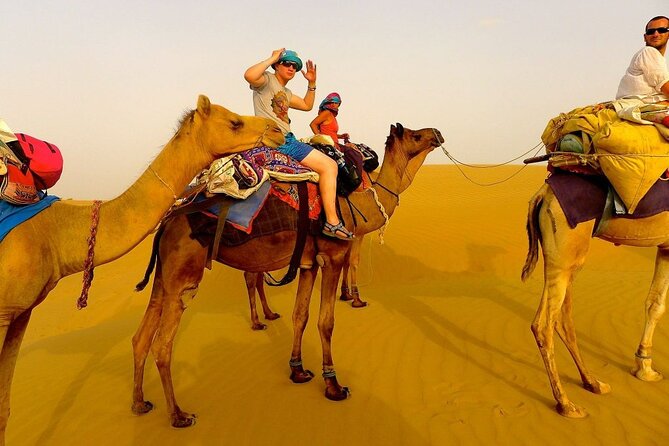 3 Hours Quad & Bedouin village with Camel Ride From Marsa Alam - Key Highlights You’ll Feel
