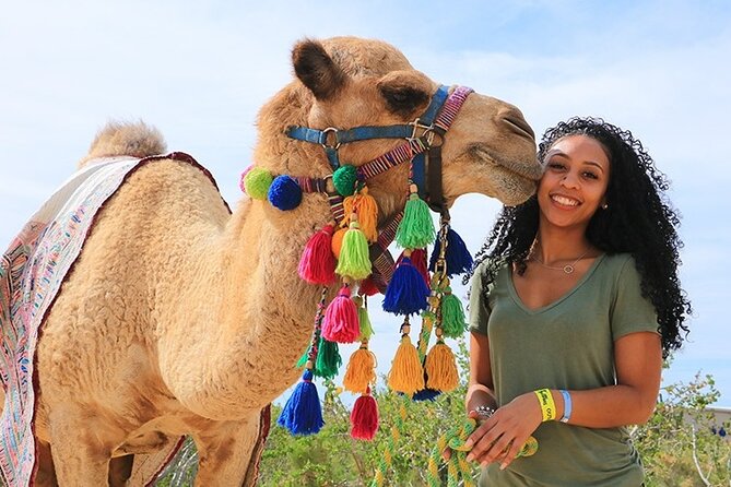 3 Hours Quad & Bedouin village with Camel Ride From Marsa Alam - Quad Power in Marsa Alam’s Desert Tracks