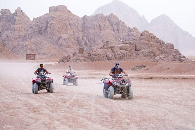 3 Hours Quad Bike with Camel Ride From Sharm El-Sheikh - Key Things I’d Want You to Know First