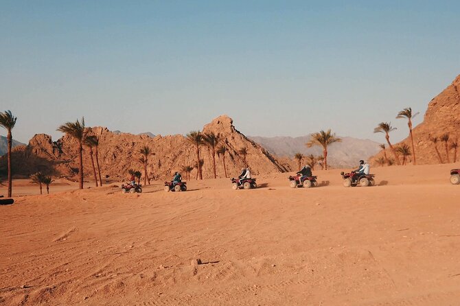 3 Hours Quad Bike with Camel Ride From Sharm El-Sheikh - Camel Ride Option: When You Want More Than Just ATVs