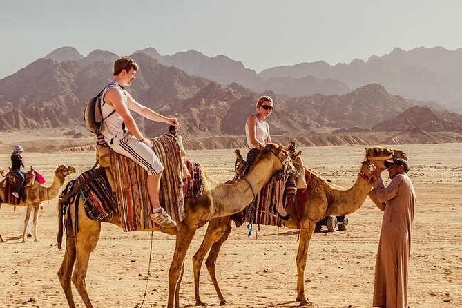 3 Hours Quad Riding, Bedouin Village and Camels in Hurghada - Learning the ATV fast: test drive before the 20 km ride