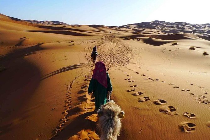 3 hours Quad Safari Sunset & Camel Ride With Transfer - Hurghada - What to Wear and Bring for Dunes That Bite Back