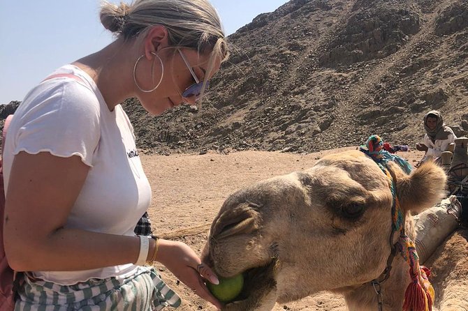 3 hours Quad Safari Sunset & Camel Ride With Transfer - Hurghada - Group Size and How That Affects Your Ride
