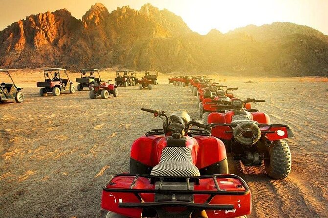 3 Hours Quad & The Bedouin Village with Camel Riding - Hurghada - Pickup, group size, and why timing matters here