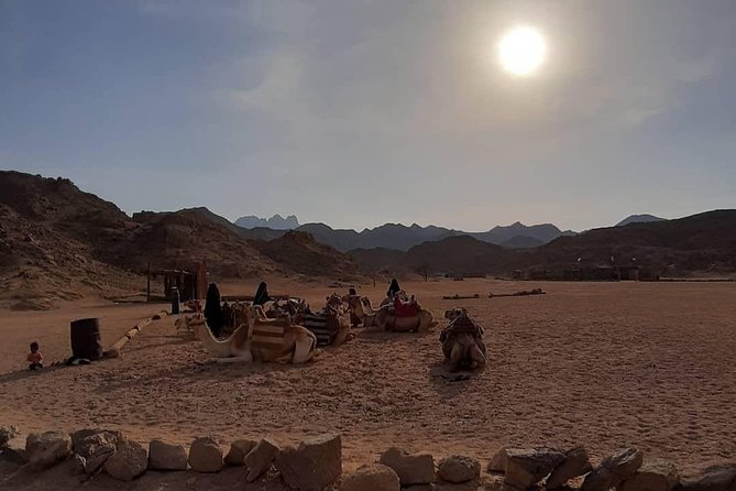 3 Hours Safari by Quad Bike - Hurghada - Quad Bike Safari in Hurghada: The Good Parts You’ll Actually Feel