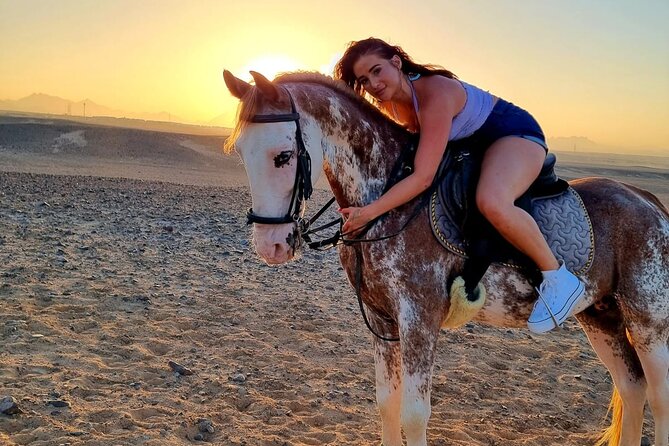 3 Hours Swimming By Horse in Red Sea Riding on the Beach and Dessert - Hurghada - Camel vs horse: choosing the right comfort level