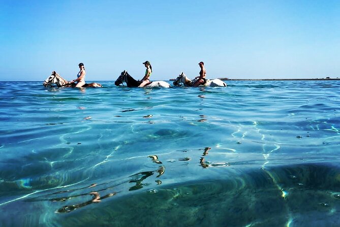 3 Hours Swimming By Horse in Red Sea Riding on the Beach and Dessert - Hurghada - Desert time: one hour of riding that builds confidence