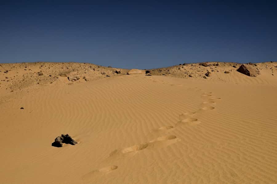4-Day Bahariya Oasis and African Sahara Camping Adventure. - Day 2: White Desert safari with valleys, a magic spring, and starry dinner