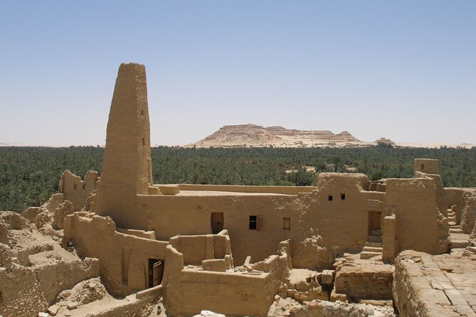 4 days tour package to Siwa oasis from Cairo - Temple of the Oracle of Amun (Aghurmi): the hilltop moment you’ll remember