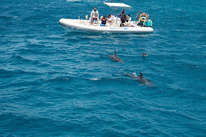4-Hour Private Speedboat to See Dolphins from Hurghada - Key things I’d underline before you go
