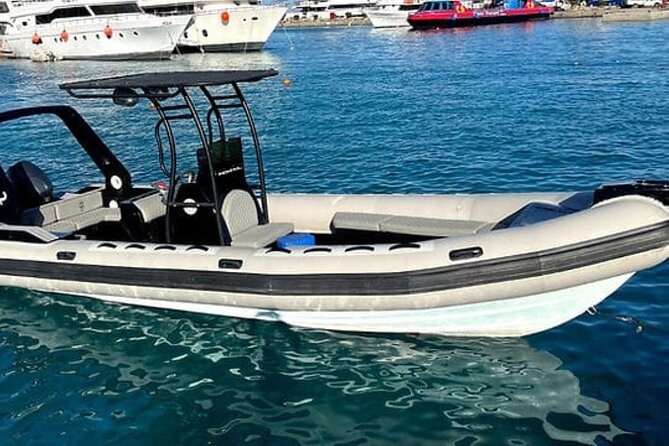 4-Hour Private Speedboat to See Dolphins from Hurghada - Dolphin House and El Fanadir: where the marine life action is the point
