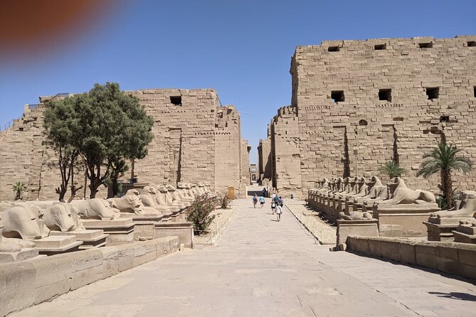 5 Days 4 Nights Nile Cruise Tour - The Private Guide Factor: What You Gain Beyond Tickets