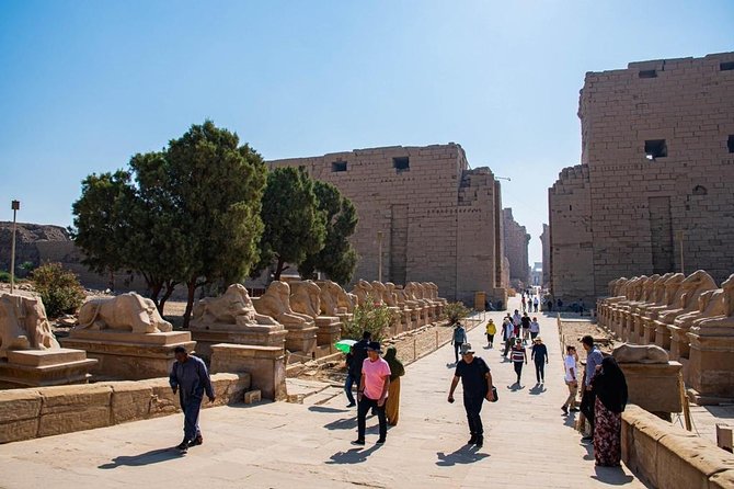 5 Days Nile Cruise from Luxor To Aswan including Abu Simbel Trip - Cruise comfort, food, and the group size reality
