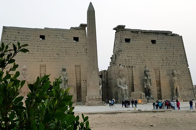 5 Days Nile Cruise From Luxor To Aswan Including Hot Air Balloon & Abu Simbel - Group size, guides, and the small details that affect your day
