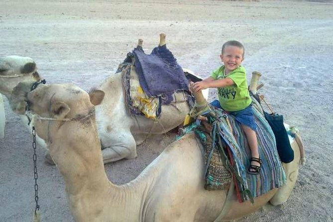 5-hour safari with quad biking & dinner at the Bedouin Hurghada - Key highlights at a glance