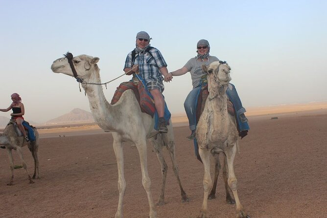 5-hour safari with quad biking & dinner at the Bedouin Hurghada - Pickup, group size, and transfers: the logistics that make or break it