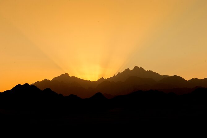 5 hours Quadbike Safari in Hurghada - The Bedouin camp stop: tea, camel ride, and what you actually learn