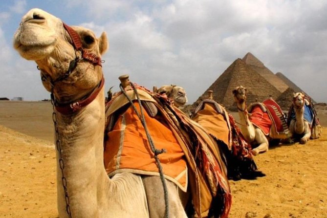 6 Hours visit to Giza pyramids sphinx and Sakkara - Private Pickup and Air-Conditioned Transport: Why It’s Worth Paying