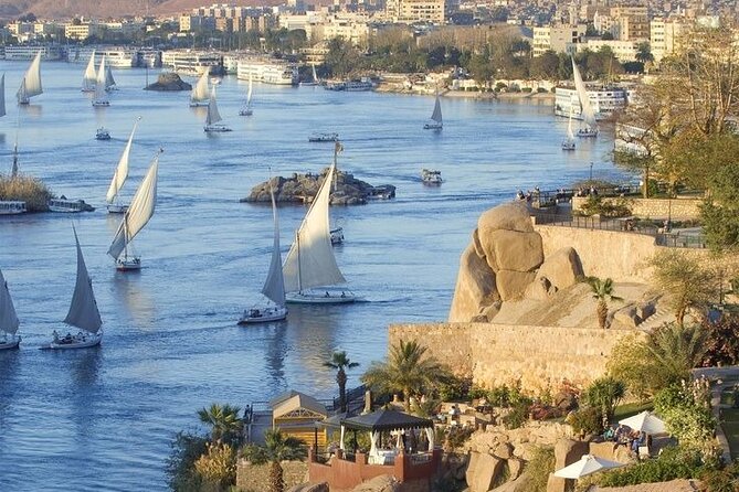 7 Nights Nile Cruise - Edfu Day 3 and the Temple of Horus: When Egyptology Turns Into Real Understanding