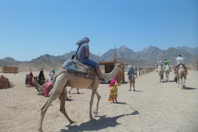 7x1Mega Safari Sharm El Sheikh - Desert-to-Sea Mega Safari: Why This Day Plan Works