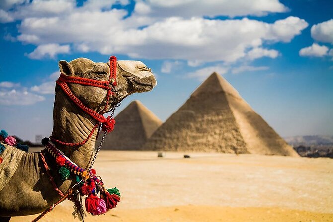 8 Days,Cairo,Alexandria,Aswan,Luxor,Cruise, Abu Simbel,From Cairo By Plane - From Edfu to Luxor: why the Nile cruise fits a packed schedule