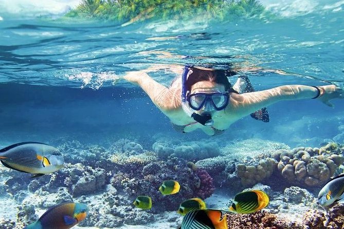 8-Hour Private Boat Charter Exclusive & Lunch Transfer -Hurghada - Who Should Book This Hurghada Private Yacht Charter?