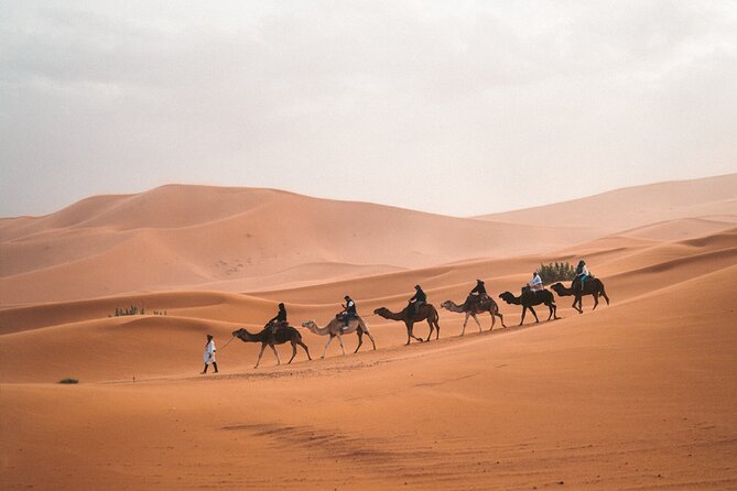 8-Hour Tour Giza Pyramids, Egyptian Museum and Cairo Bazaar - Lunch, water, and the air-conditioned reset