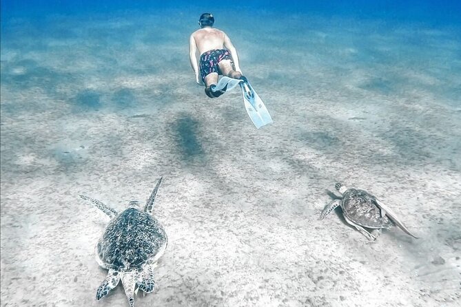 Abu Dabbab Beach Full Day Trip with Turtles - Midday Break: Beach Time Between Reef Sessions