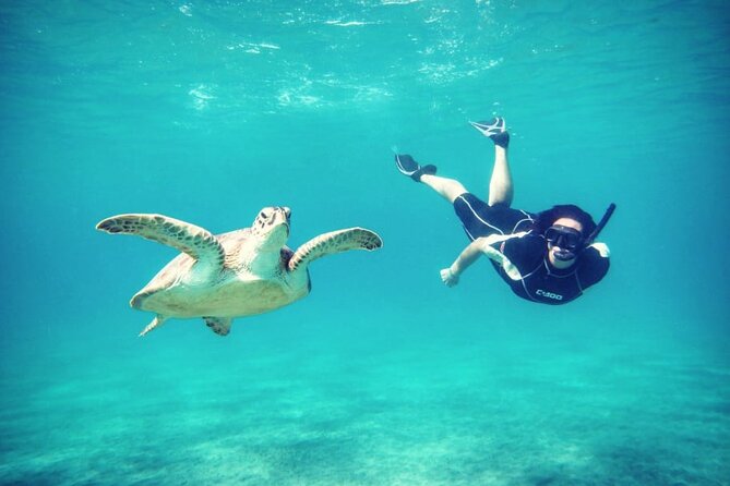 Abu Dabbab Beach Full Day Trip with Turtles - Second Snorkel Session Around the Coral Reef