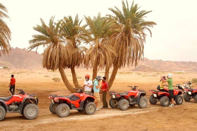 Adventure Quad Biking Tour in Dahab - Small realities to plan for (so you’re not surprised)
