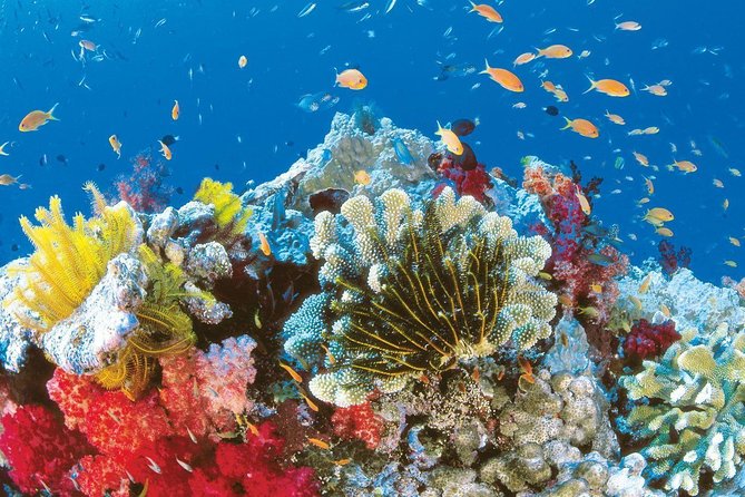 Airport minibus transfer central Hurghada,Makadi,Sahl Hasheesh hotels - What’s Included (and What You’ll Pay For Elsewhere)