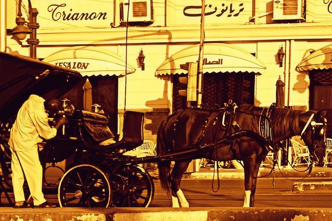 Alexandria Horse Carriage Tour - Key Things That Make This Tour Worth It