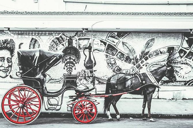 Alexandria Horse Carriage Tour - Meeting Point: Start Where the Tour Actually Begins