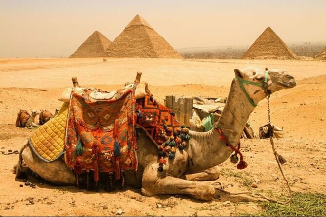 All INC- Pyramids,Camel Ride،(1 hour) four wheeler (ATV)& Lunch - The Camel Ride Around the Pyramids: Classic, Calm, and Actually Fun