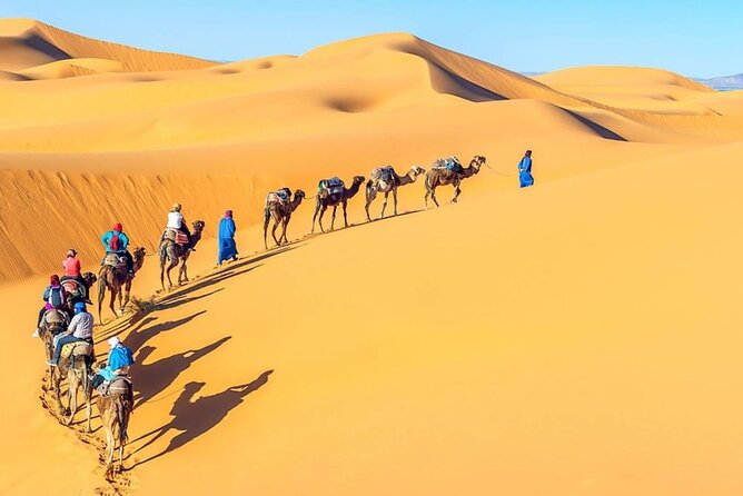 All Inclusive Day Tour To Cairo from Alexandria Port - A Day Trip Pace From Alexandria Port to Giza (What You Really Get)