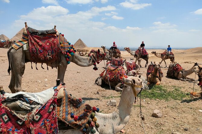 All inclusive Giza Pyramids ,Sphinx ,Lunch ,Camel&Inside pyramid - The Sphinx and the guide: getting the story without getting buried in details