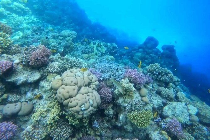 All-Inclusive Red Sea Adventure – Luxury Boat Trip from Hurghada - One Short Guided Underwater Session (Up to 7 Meters)