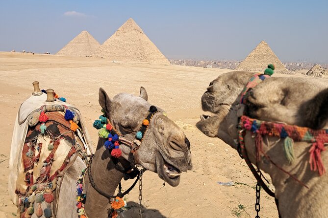 All-inclusive Saqqara, Giza pyramids,lunch,fees,30 min camel ride - Why This Giza and Saqqara Combo Feels Different From a Usual Day Trip