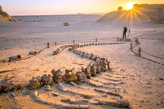 Allinclusive Private Tour Fayoum Oasis & Valley of Wales - Wadi El-Rayan: Waterfalls, Magic Lake Walks, and the 4x4 Dune Hit